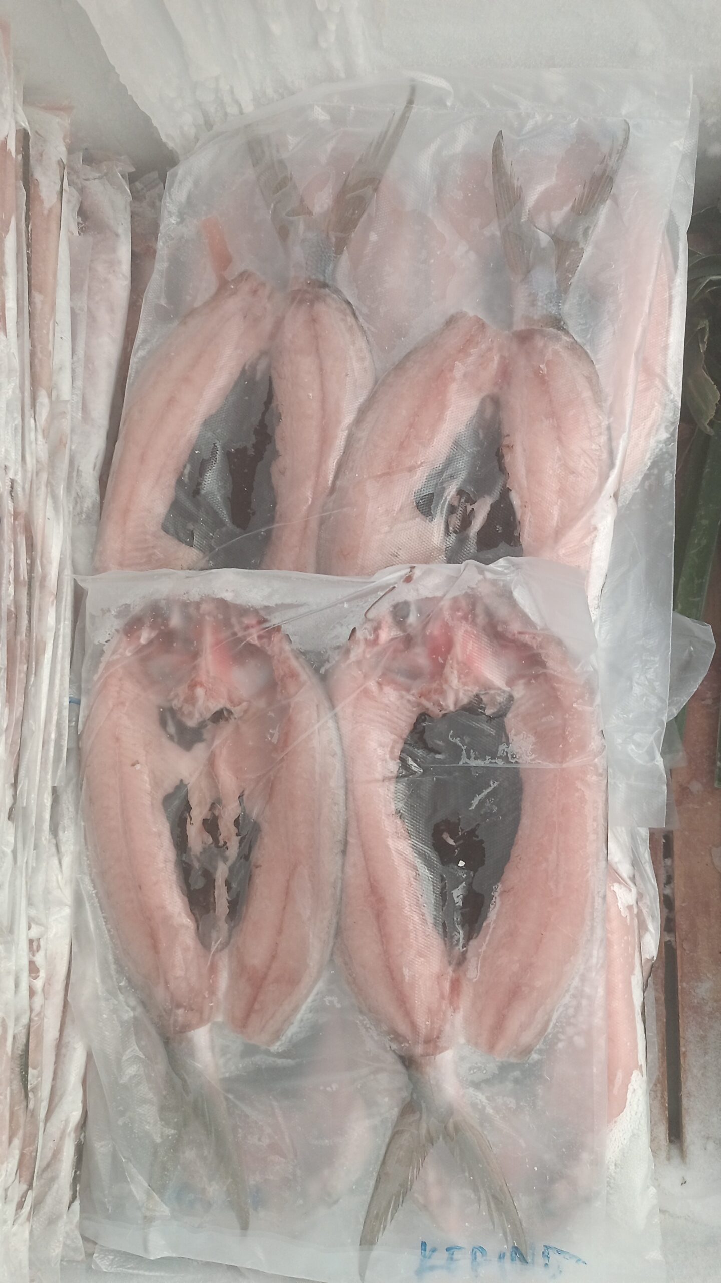 Bandeng Asin Tanpa Tulang