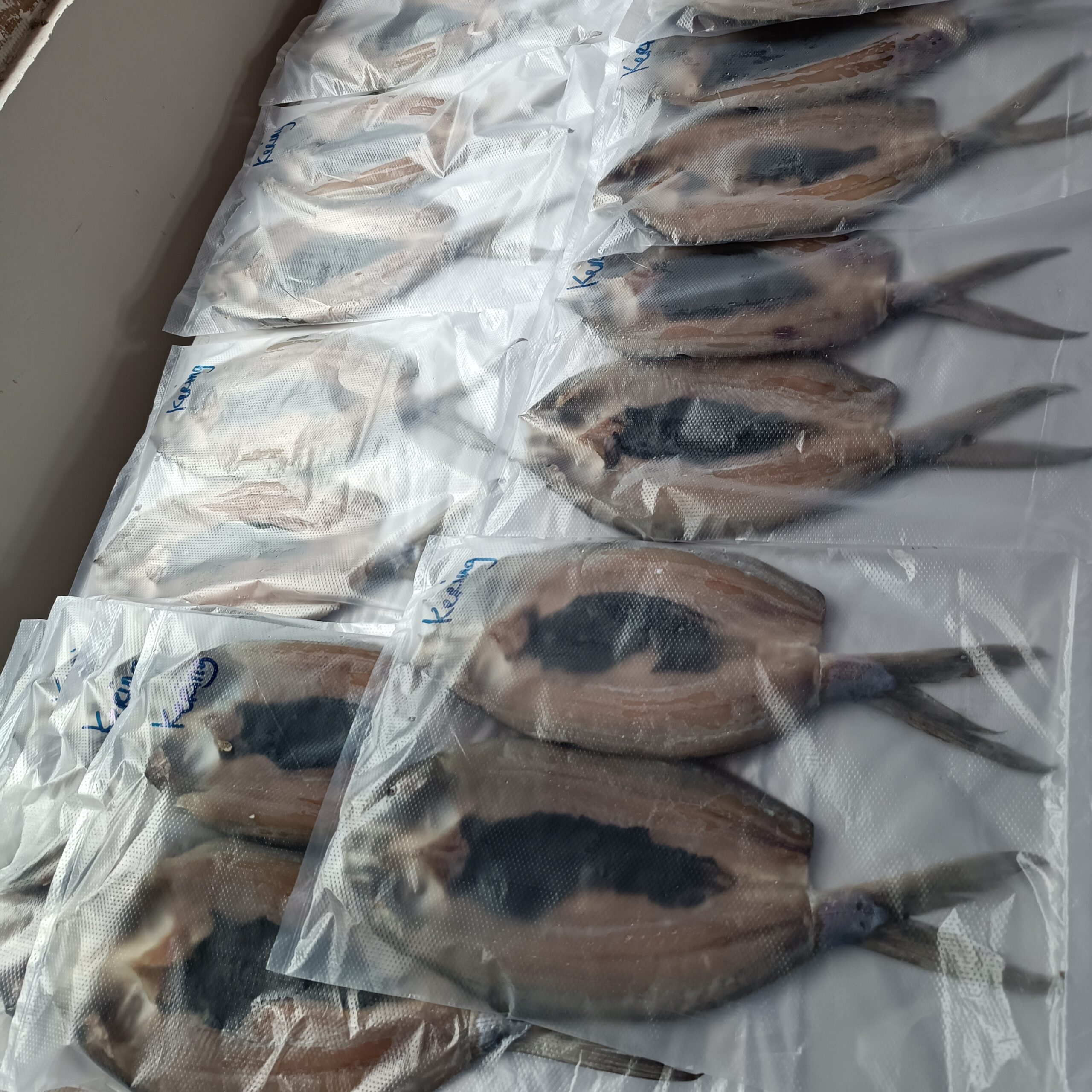 Bandeng Asin Tanpa Tulang