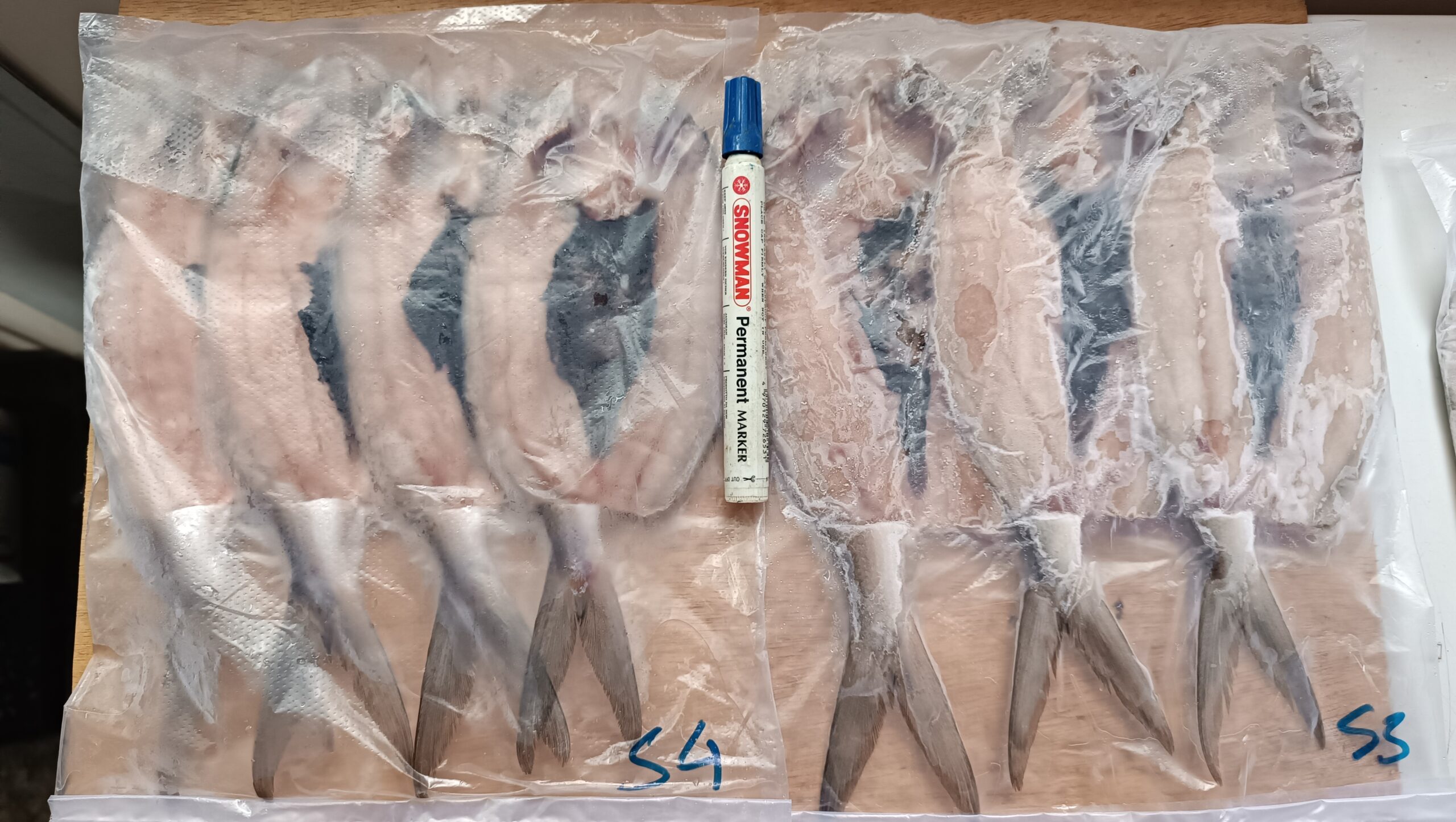 Bandeng Asin Tanpa Tulang