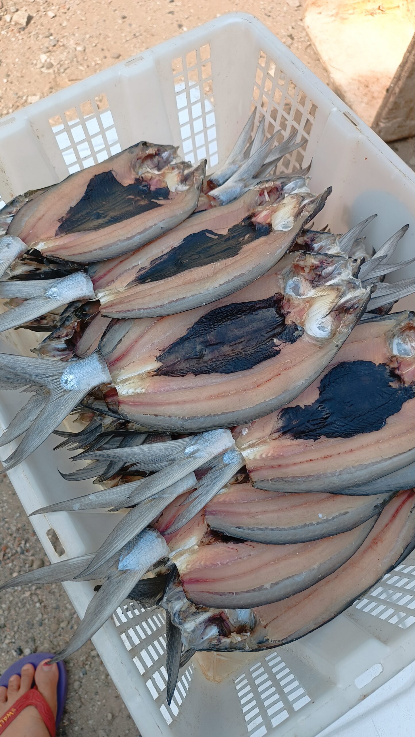 Bandeng Asin Tanpa Tulang